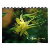 オダマキ(植物) カレンダー (カバー)