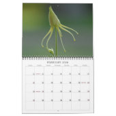 オダマキ(植物) カレンダー (2月 2026)