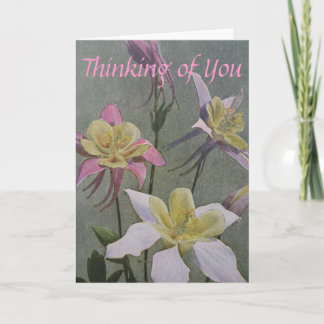 オダマキ（植物） カード