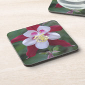 オダマキ（植物） コースター (左側)