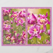 オダマキ（植物）ジプチ (裏面)