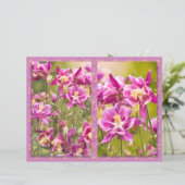 オダマキ（植物）ジプチ (スタンド正面)