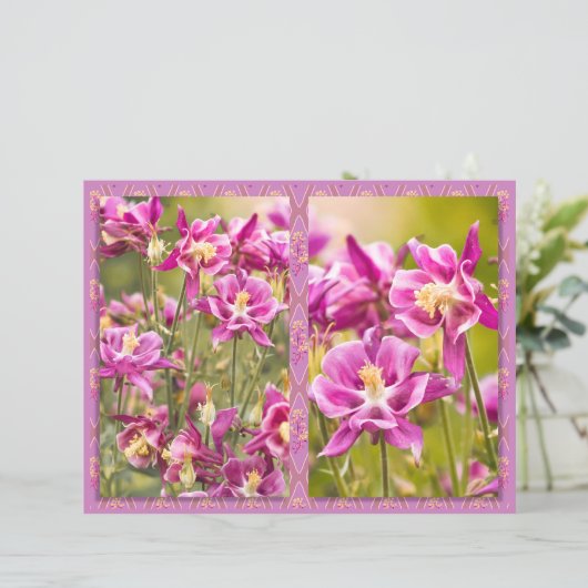 オダマキ（植物）ジプチ (スタンド正面)