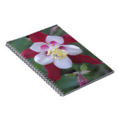 オダマキ（植物） ノートブック (右側)