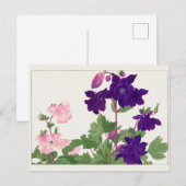 オダマキ(植物)バイタニガミ湖南 ポストカード (正面/裏面)