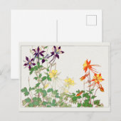 オダマキ(植物)バイタニガミ湖南 ポストカード (正面/裏面)