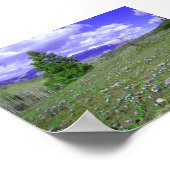 オダマキ（植物）ヒル ポスター (角)