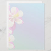 オダマキ（植物）フラワーピンク&ホワイト (正面/裏面)