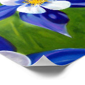 オダマキ（植物） ポスター (角)