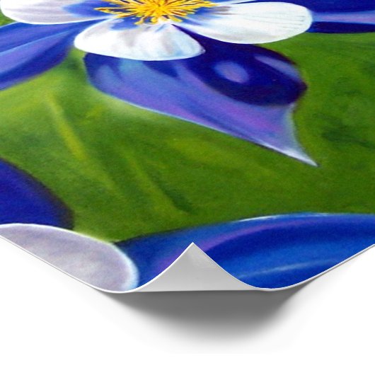 オダマキ（植物） ポスター (角)