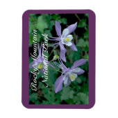 オダマキ（植物）ロッキーマウンテン国立公園 マグネット (縦)