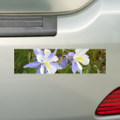 オダマキ（植物）系 バンパーステッカー (車上)