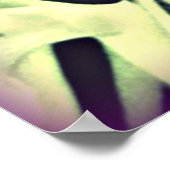 オダマキ（植物）聖霊ポスター ポスター (角)