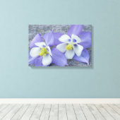 オダマキ（植物）花対 キャンバスプリント (インサイチュ (ウッドフロア))