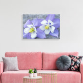 オダマキ（植物）花対 キャンバスプリント (インサイチュ (リビング))