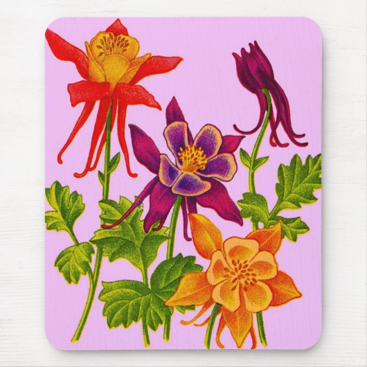 オダマキ(植物)花 マウスパッド (正面)