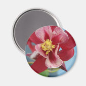 オダマキ（植物）花 マグネット (正面/裏面)