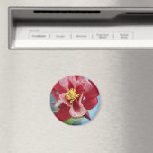 オダマキ（植物）花 マグネット (インサイチュ (食洗機))