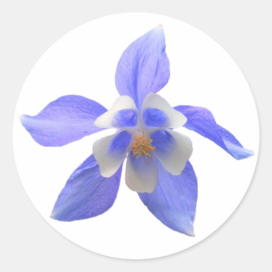 オダマキ(植物)158 ~シール ラウンドシール (正面)