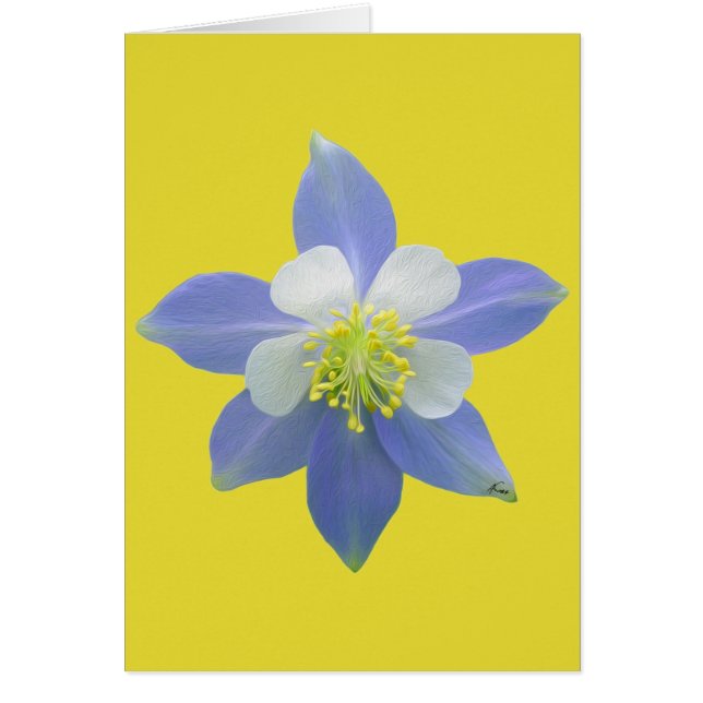 オダマキ（植物）2 (正面)