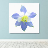 オダマキ（植物）2 キャンバスプリント (インサイチュ (ウッドフロア))