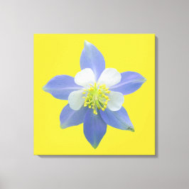 オダマキ(植物)2 キャンバスプリント