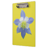 オダマキ（植物）2 クリップボード (左)