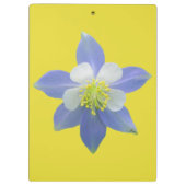 オダマキ（植物）2 クリップボード (裏面)