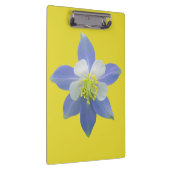 オダマキ（植物）2 クリップボード (右)