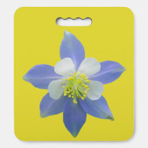 オダマキ（植物）2