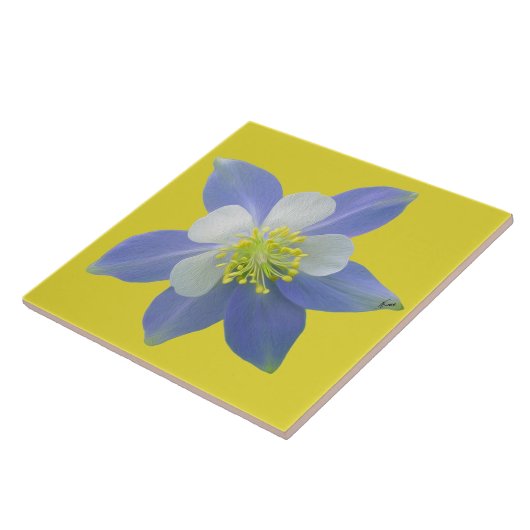 オダマキ（植物）2 タイル (側面)