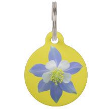 オダマキ（植物）2