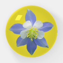 オダマキ（植物）2