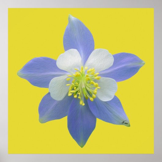 オダマキ（植物）2 ポスター (正面)