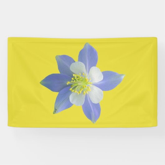 オダマキ（植物）2 横断幕 (横)