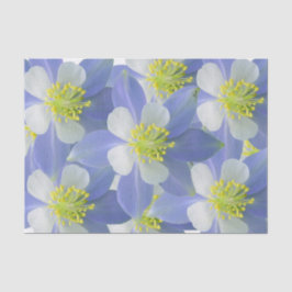 オダマキ（植物） 2 薄葉紙