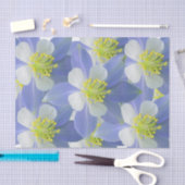 オダマキ（植物） 2 薄葉紙 (クラフト)