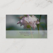 オダマキ（植物） | Akelei 名刺 (裏面)