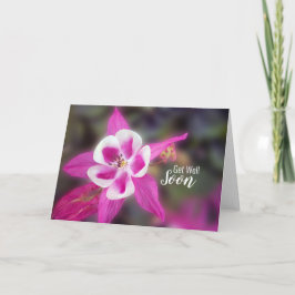 オダマキ(植物)Get Well Soonフローラ写真 カード