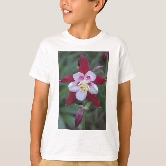 オダマキ（植物） Tシャツ (正面)