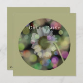 オックスアイデイジーフラワーオングレーオリーブ シーズンカード (正面/裏面)