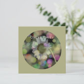 オックスアイデイジーフラワーオングレーオリーブ シーズンカード (スタンド正面)