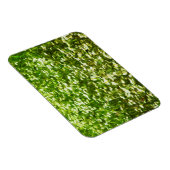 オックスアイデイジー抽象芸術印象主義 マグネット (右側)