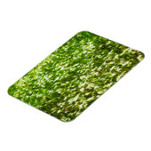 オックスアイデイジー抽象芸術印象主義 マグネット (左側)