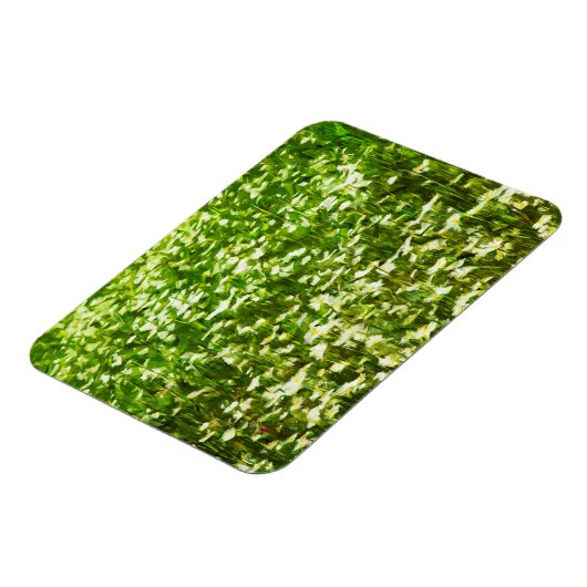 オックスアイデイジー抽象芸術印象主義 マグネット (左側)