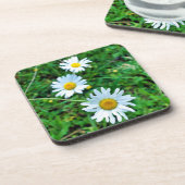 オックスアイデイジー コースター (左側)