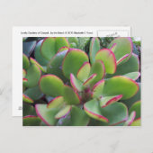 オックスナードの素敵な庭園ビーチは… ポストカード (正面/裏面)