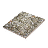 オックスフォードの粘土のアンモナイトの写真 タイル (側面)