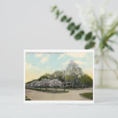 オックスフォードセントロチェスターNYヴィンテージ ポストカード (スタンド正面)