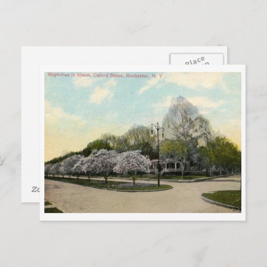 オックスフォードセントロチェスターNYヴィンテージ ポストカード (正面/裏面)